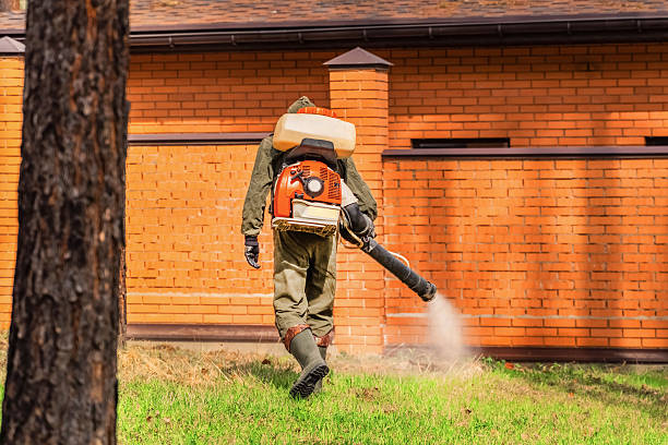 Trusted Cockroach Control service in Belpre, OH - Nex Pest Control
